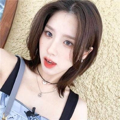 当哈维遇见鲍勃