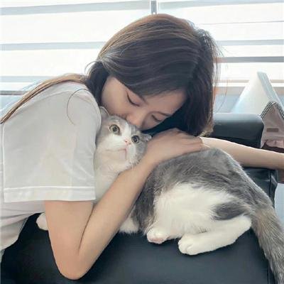 石头不会忘记
